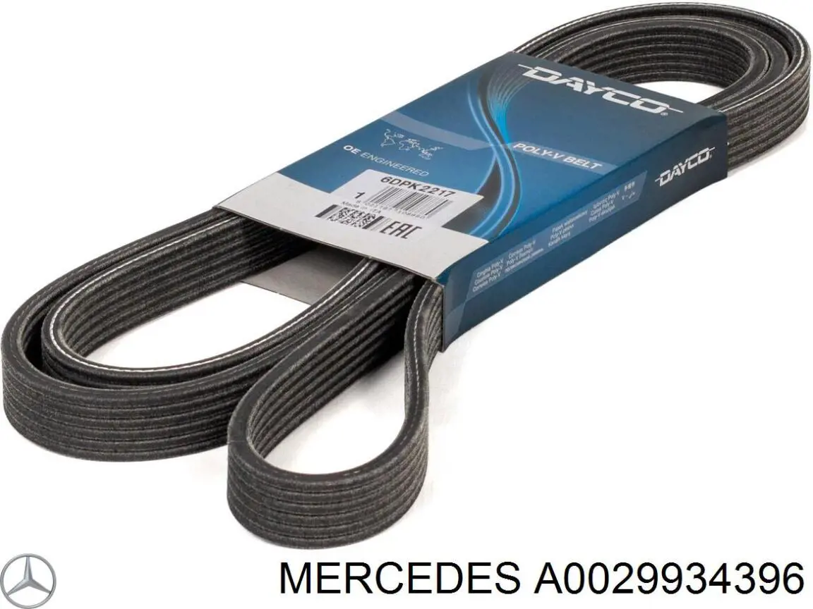 39933396 Mercedes correa trapezoidal