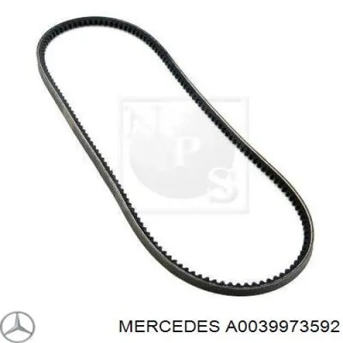 A0039973592 Mercedes correa trapezoidal