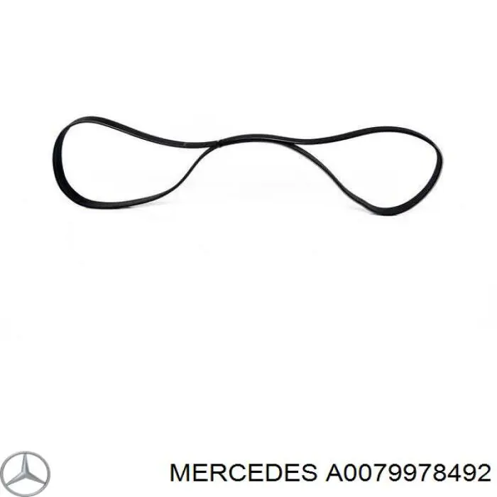 A0079978492 Mercedes correa trapezoidal