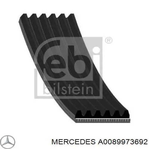 A0089973692 Mercedes correa trapezoidal