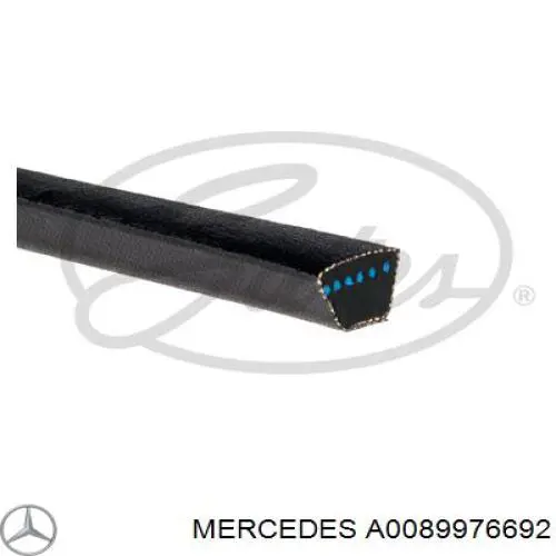 A0089976692 Mercedes correa trapezoidal