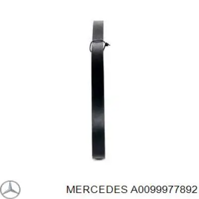 A0099977892 Mercedes correa trapezoidal