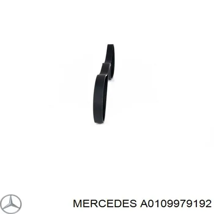 A0109979192 Mercedes correa trapezoidal