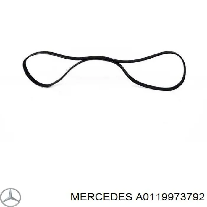 A0119973792 Mercedes correa trapezoidal