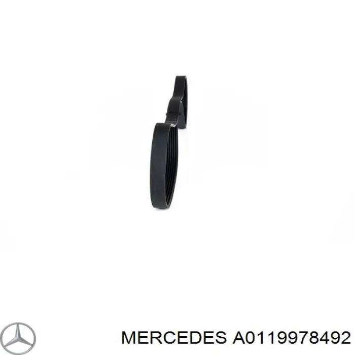 A0119978492 Mercedes correa trapezoidal