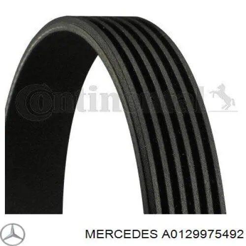 A0129975492 Mercedes correa trapezoidal