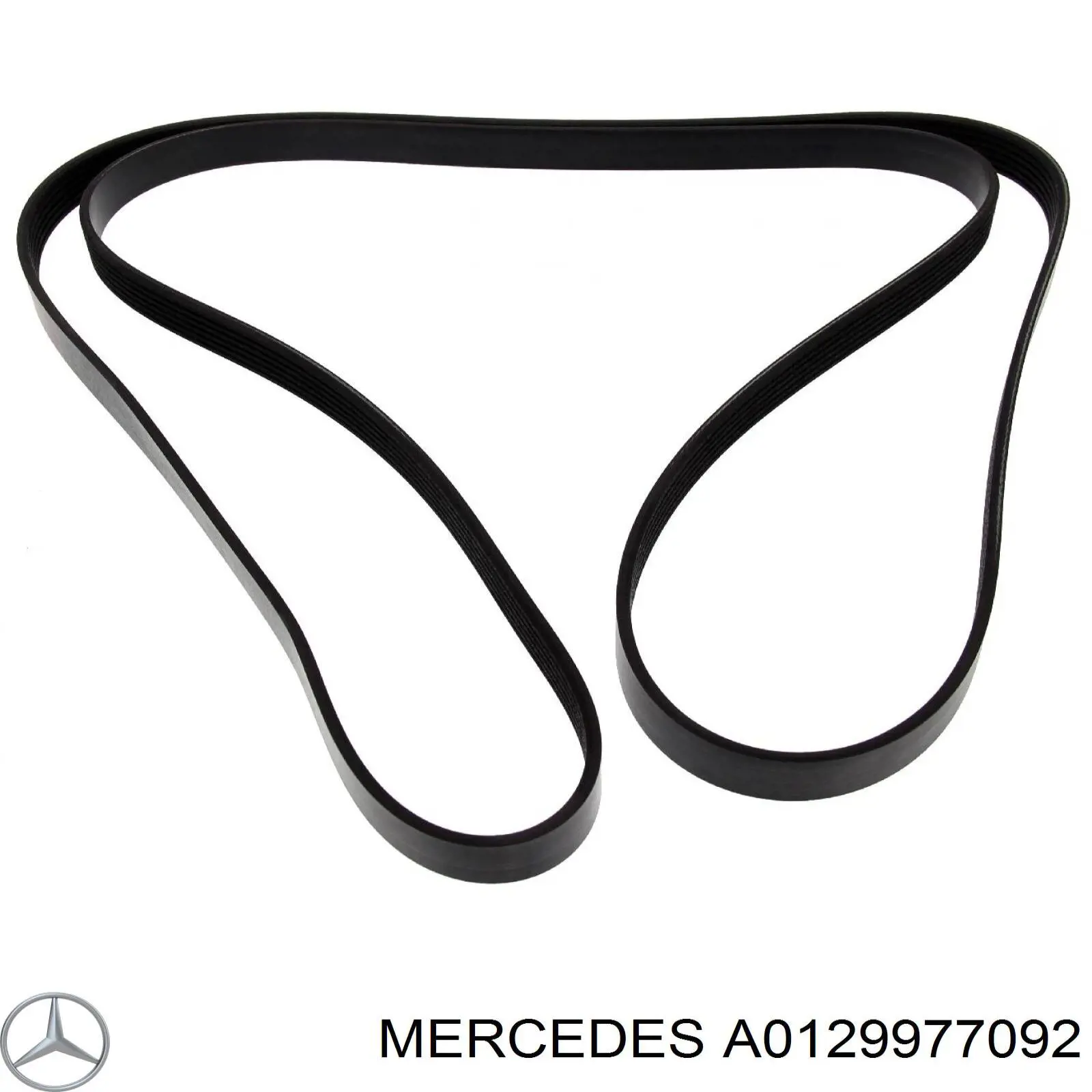 A0129977092 Mercedes correa trapezoidal