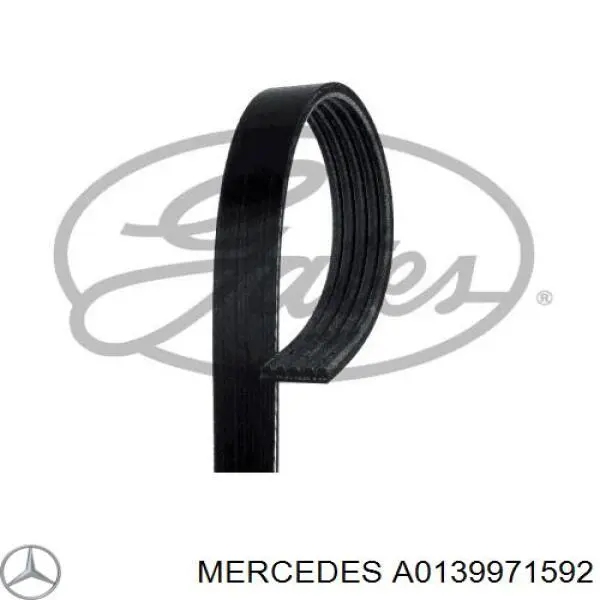 139971592 Mercedes 