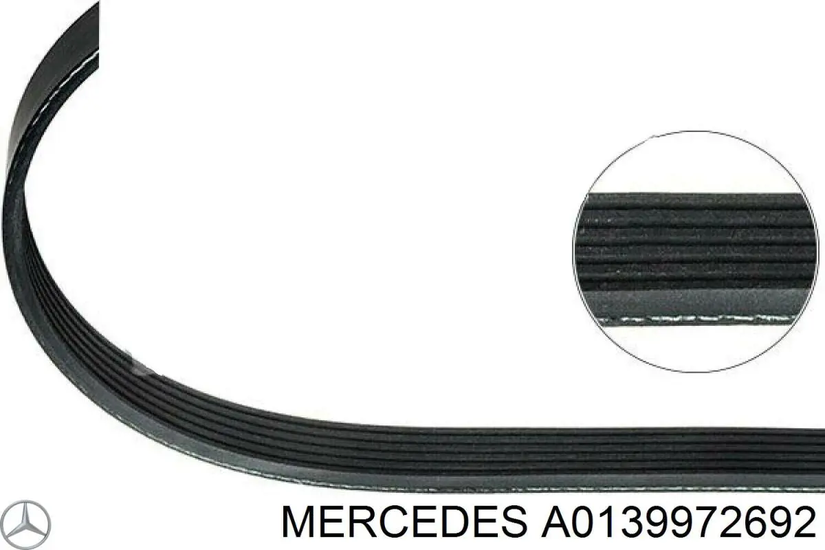 A0139972692 Mercedes correa trapezoidal