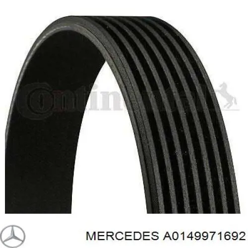 A0149971692 Mercedes correa trapezoidal