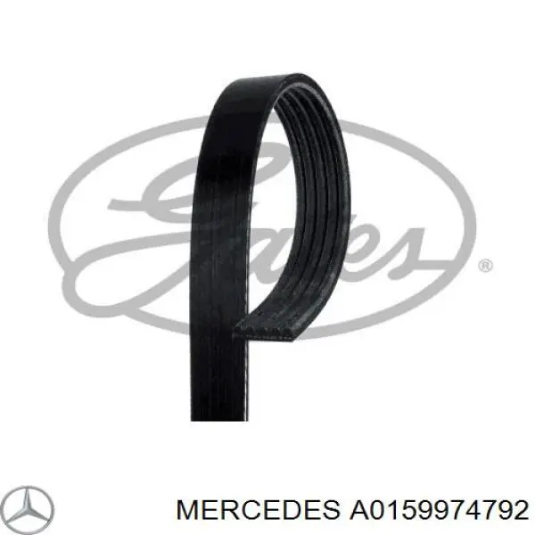 A0159974792 Mercedes correa trapezoidal