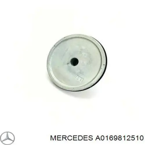 A0169812510 Mercedes 