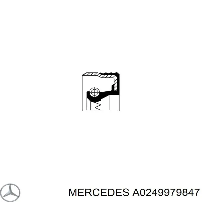 A0249979847 Mercedes anillo retén, diferencial eje trasero