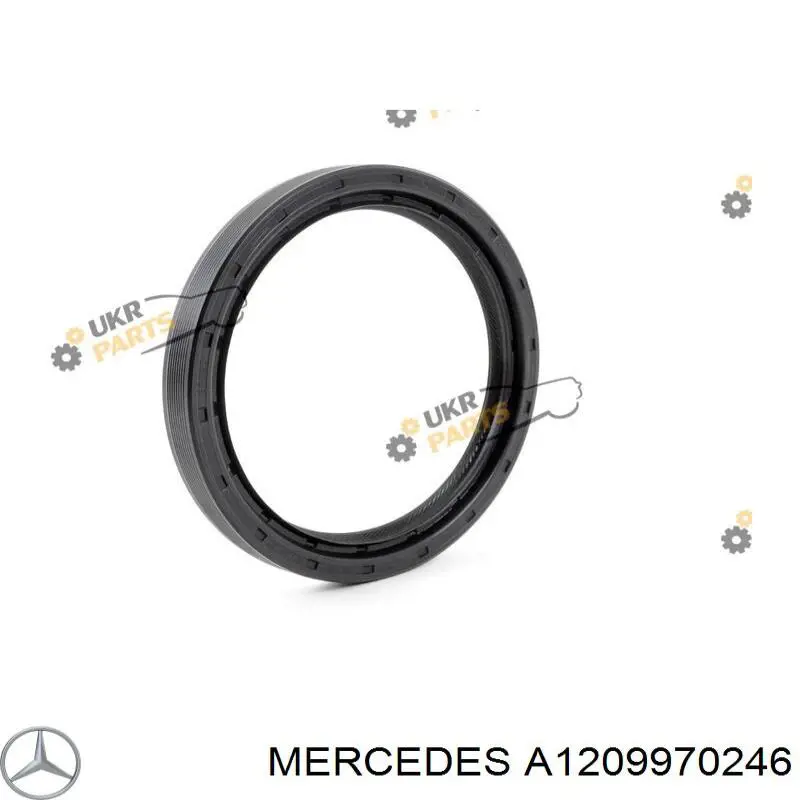  Anillo retén, cigüeñal para Mercedes S C140