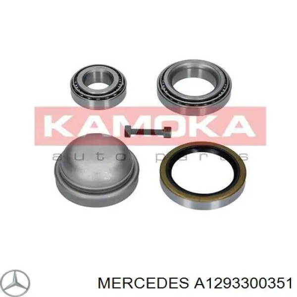 A1293300351 Mercedes 