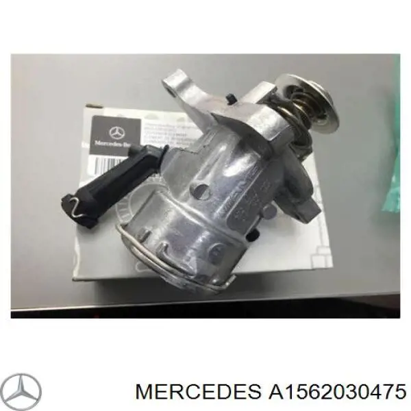 A1562030475 Mercedes termostato, refrigerante