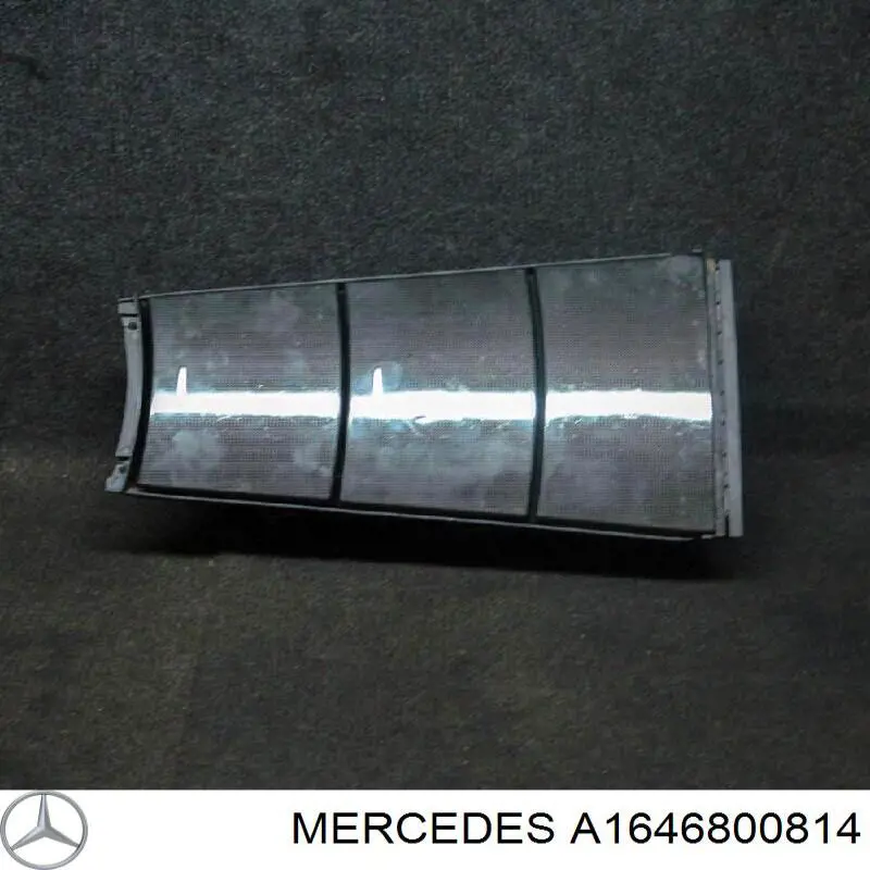 A1646800814 Mercedes 