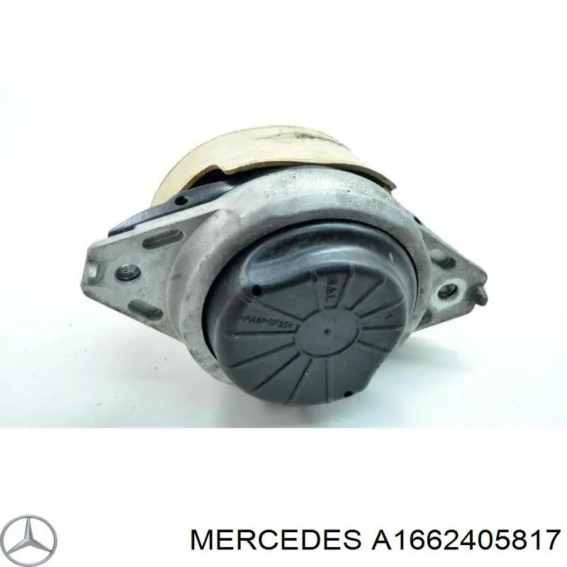 A1662405817 Mercedes soporte motor izquierdo