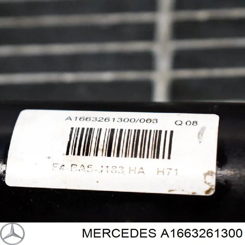 A1663261300 Mercedes 