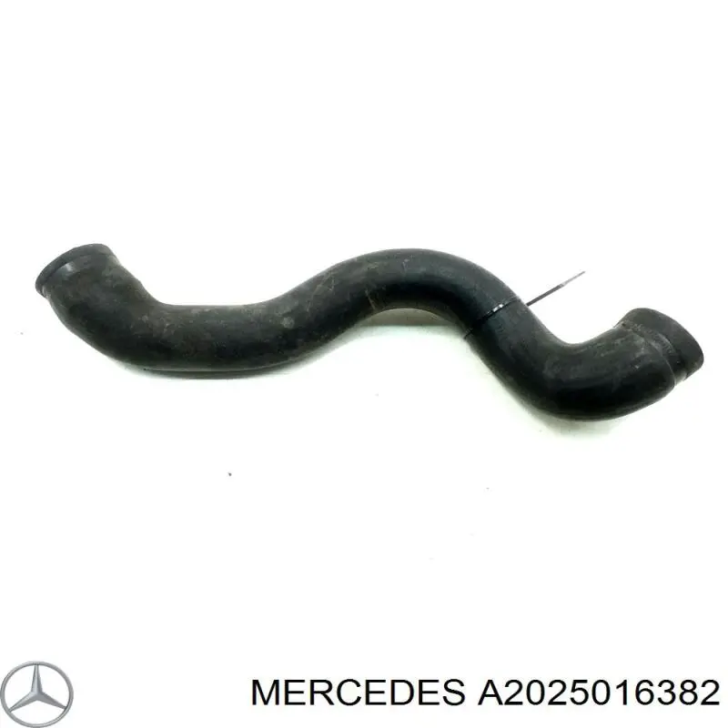 2025016382 Mercedes tubería de radiador arriba