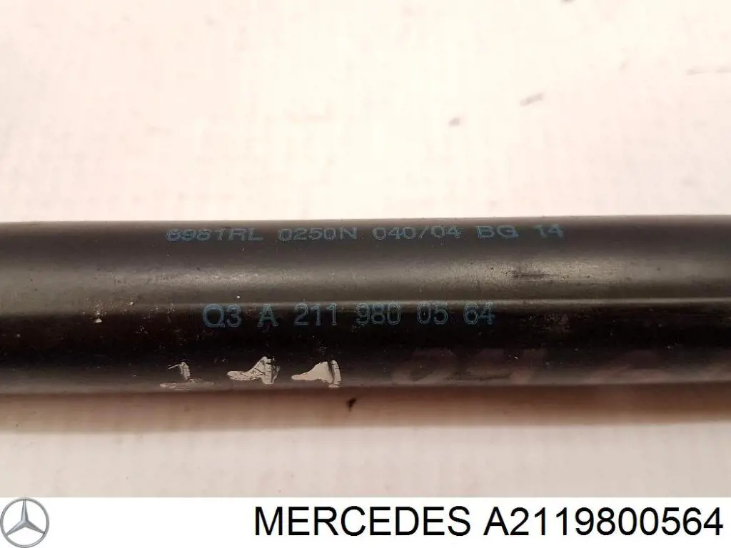 2119800564 Mercedes 