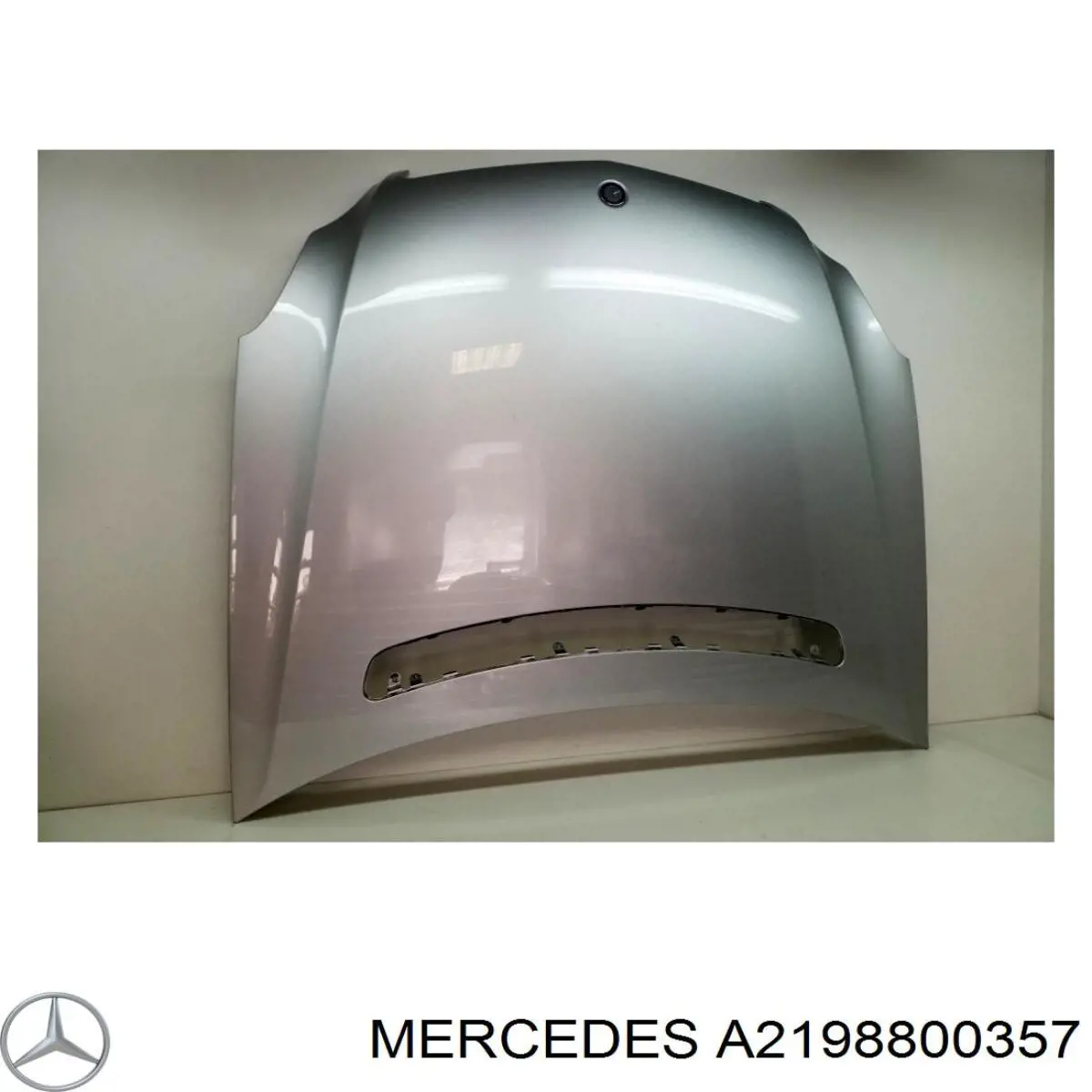  Capó del motor para Mercedes CLS C219