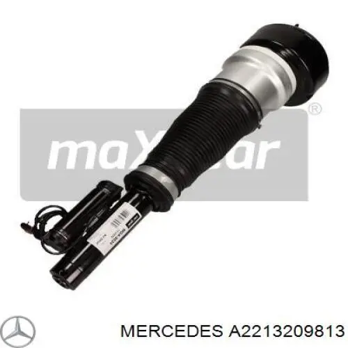 2213209813 Mercedes amortiguador delantero derecho