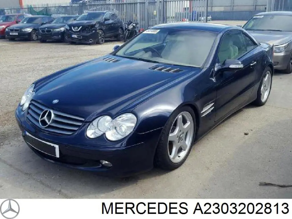 A2303202813 Mercedes amortiguador delantero derecho