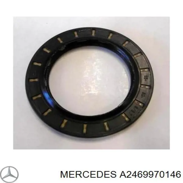 A2469970146 Mercedes 