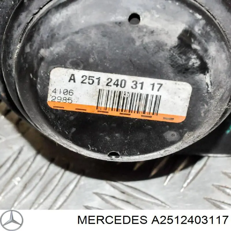 A2512403117 Mercedes almoahada (soporte Del Motor Izquierda / Derecha)