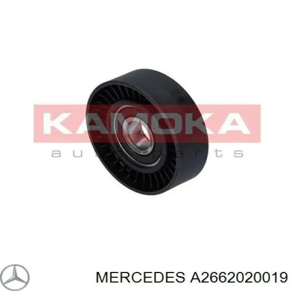 A2662020019 Mercedes polea inversión / guía, correa poli v