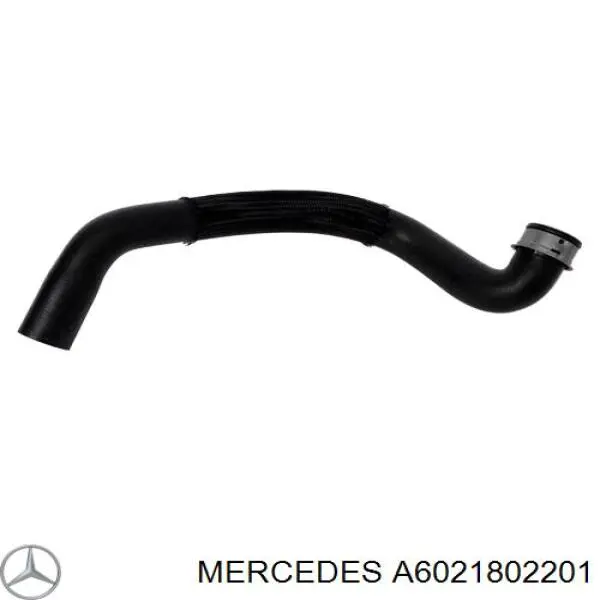 A6021802201 Mercedes bomba de aceite