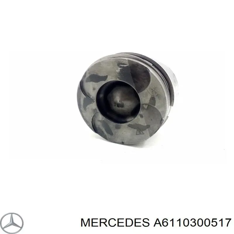 6110300517 Mercedes 