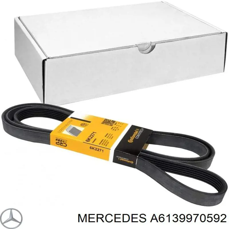 A6139970592 Mercedes correa trapezoidal