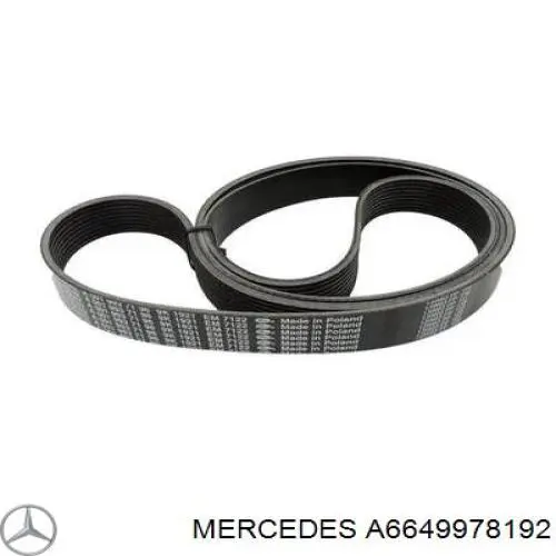 A6649978192 Mercedes 