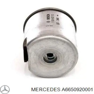 A6650920001 Mercedes filtro combustible