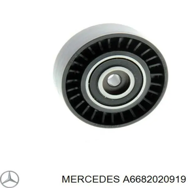 A6682020919 Mercedes rodillo intermedio de correa dentada