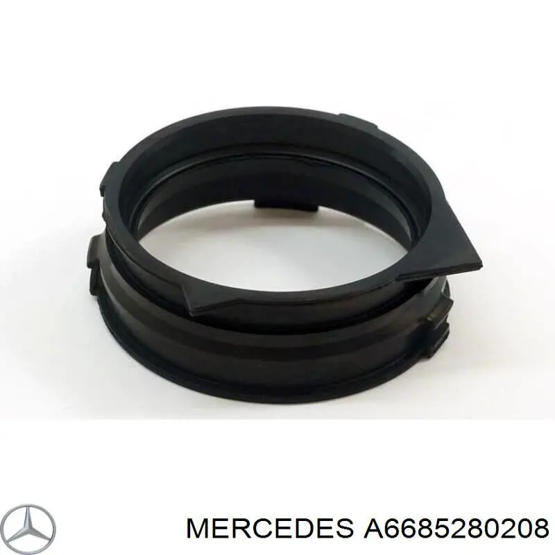 A6685280208 Mercedes 