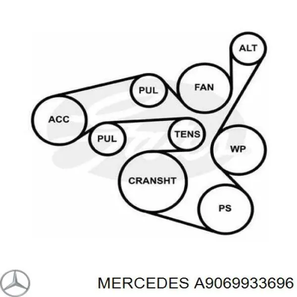 A9069933696 Mercedes correa trapezoidal