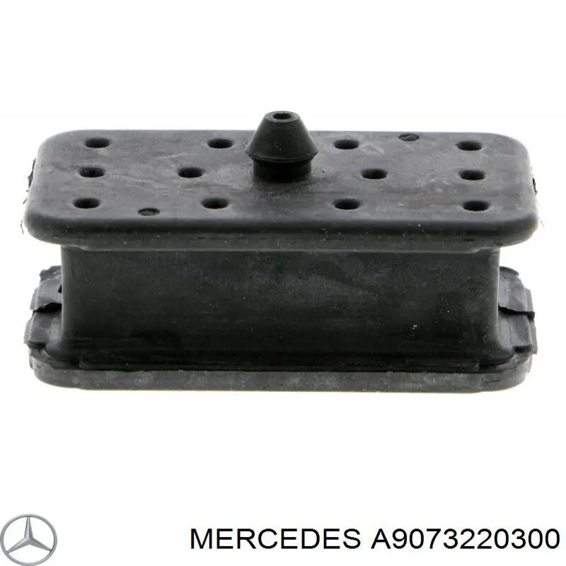 A9073220300 Mercedes tope de ballesta delantera