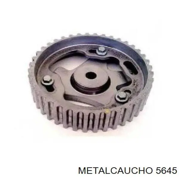 5645 Metalcaucho piñón cadena distribución