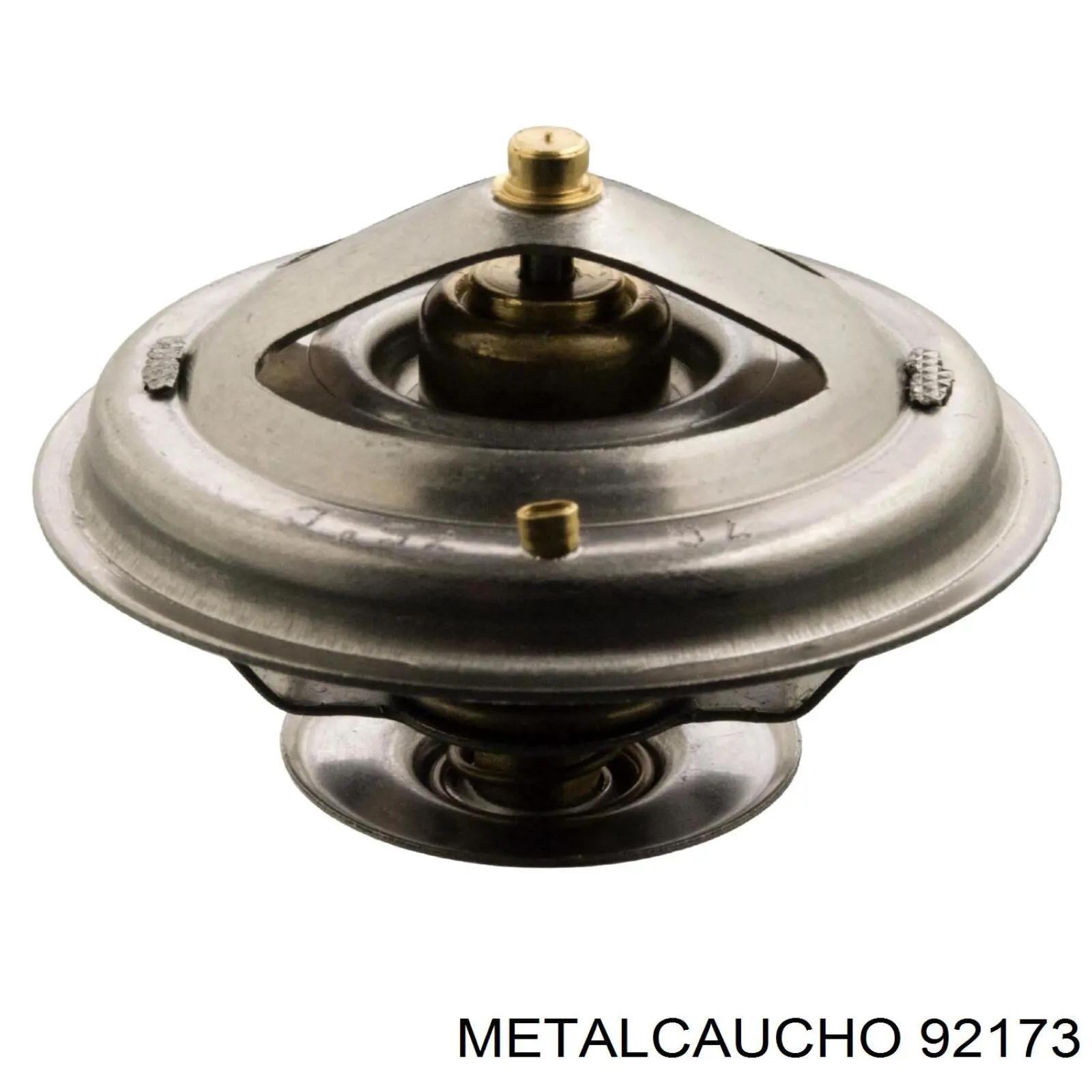 92173 Metalcaucho tubo (manguera Para El Suministro De Aceite A La Turbina)