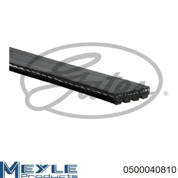  Correa trapezoidal para Honda Civic 5 