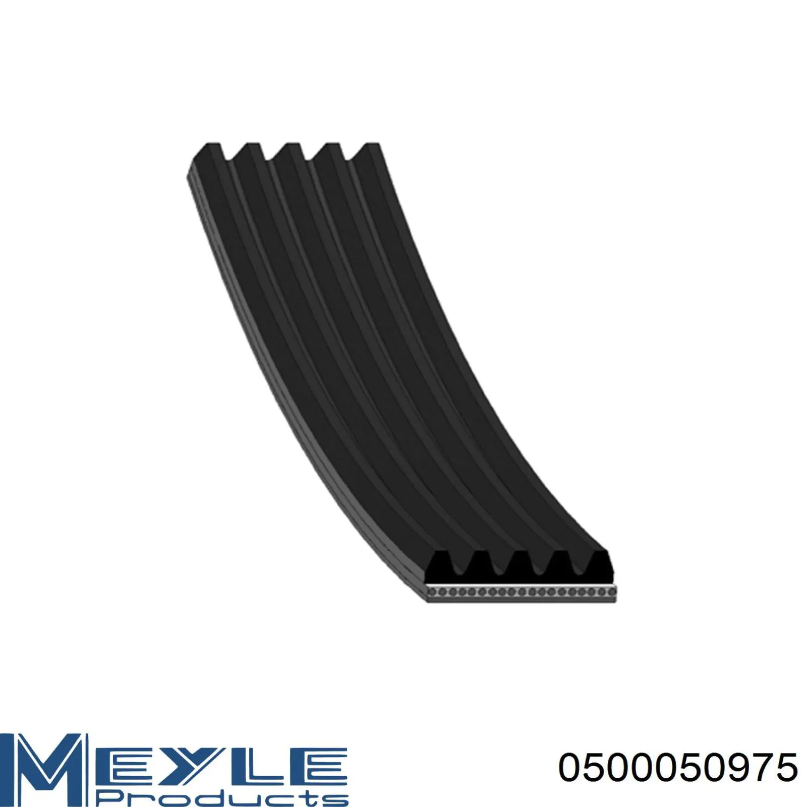 500050975 Meyle correa trapezoidal