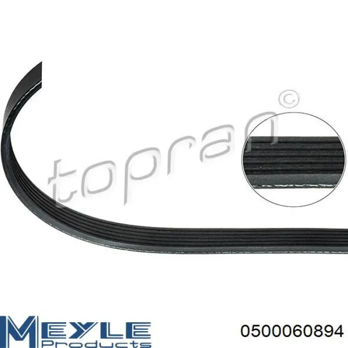 7700869440 Nissan correa trapezoidal