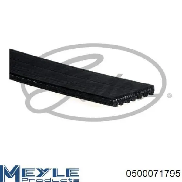 050 007 1795 Meyle correa trapezoidal