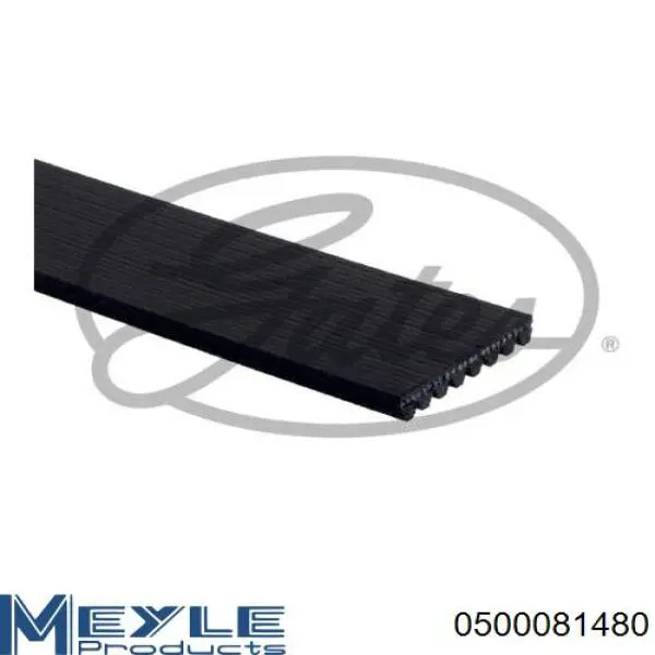 A9069970792 Mercedes correa trapezoidal