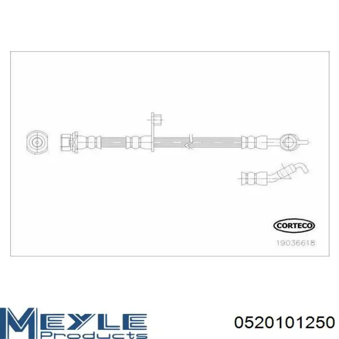 3277171 Cummins correa trapezoidal