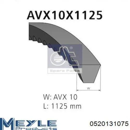 967113 Volvo correa trapezoidal