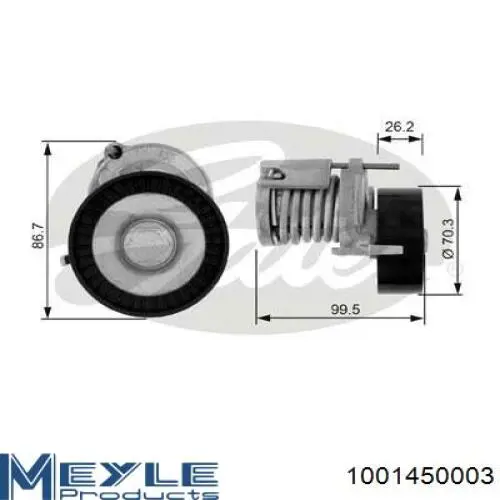  Rodillo, correa trapecial poli V para Seat Leon 1M1